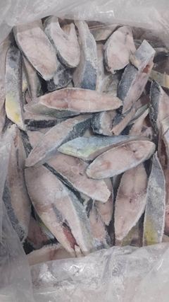 Peixe Dourado em Posta ”Pequeno” Atum do Brasil a Granel