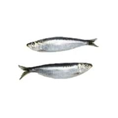 Peixe sardinha inteira Leardini 10 a 12 a granel