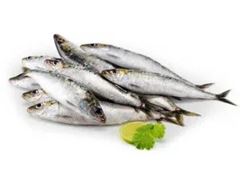 Peixe Palombeta Eviscerado Leardini 9 Peças 17kg