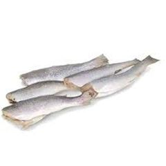 Px Corvina Eviscerada 8/10 A Granel 15kg
