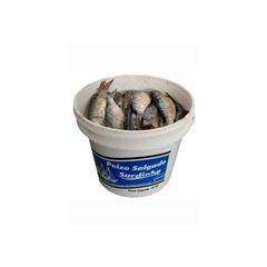 Sardinha Rocha Charuto Big Drum 10kg