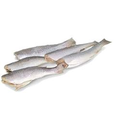 Peixe corvina eviscerada Leardini 15kg