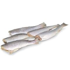 Peixe Corvina Eviscerada Sousa Pescados 2 a 3 peças a Granel
