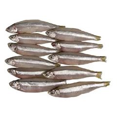 Peixe Manjuba (Pilombeta) Inteira Sousa a Granel 15kg
