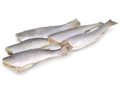 Peixe Tainha Inteira Eviscerada Leardini 1500g 20kg