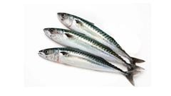 Peixe Cavalinha Inteiro Leardini 1/2 Agridoce 10kg