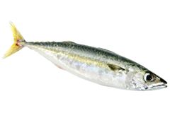 Peixe Cavalinha Inteiro Leardini 2/3 Agridoce 10kg