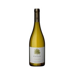 Vinho Argentino Kadabra Chardonnay Branco 750ml